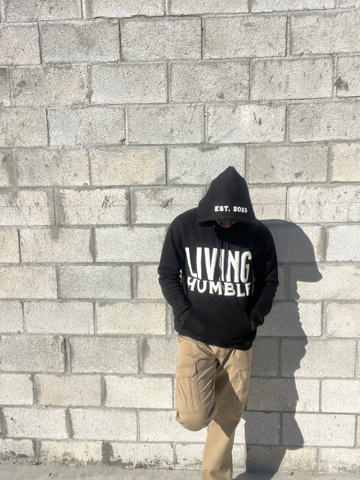 Puff Print LH Hoodie